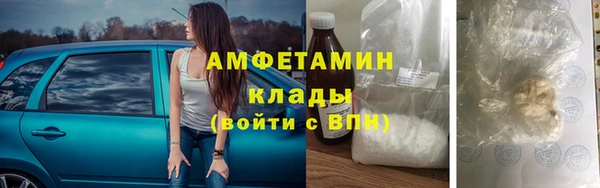 ПСИЛОЦИБИНОВЫЕ ГРИБЫ Магас