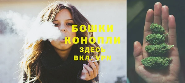 ПСИЛОЦИБИНОВЫЕ ГРИБЫ Магас