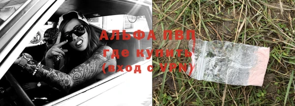 ПСИЛОЦИБИНОВЫЕ ГРИБЫ Магас