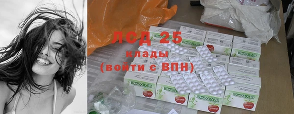 ПСИЛОЦИБИНОВЫЕ ГРИБЫ Магас